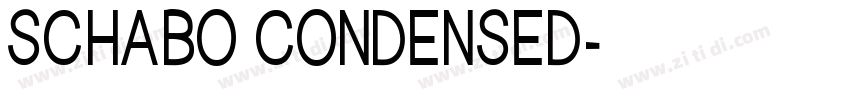 SCHABO CONDENSED字体转换